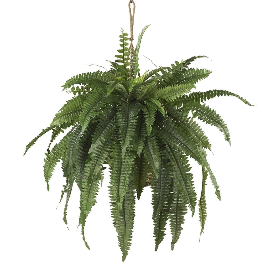 faux boston fern