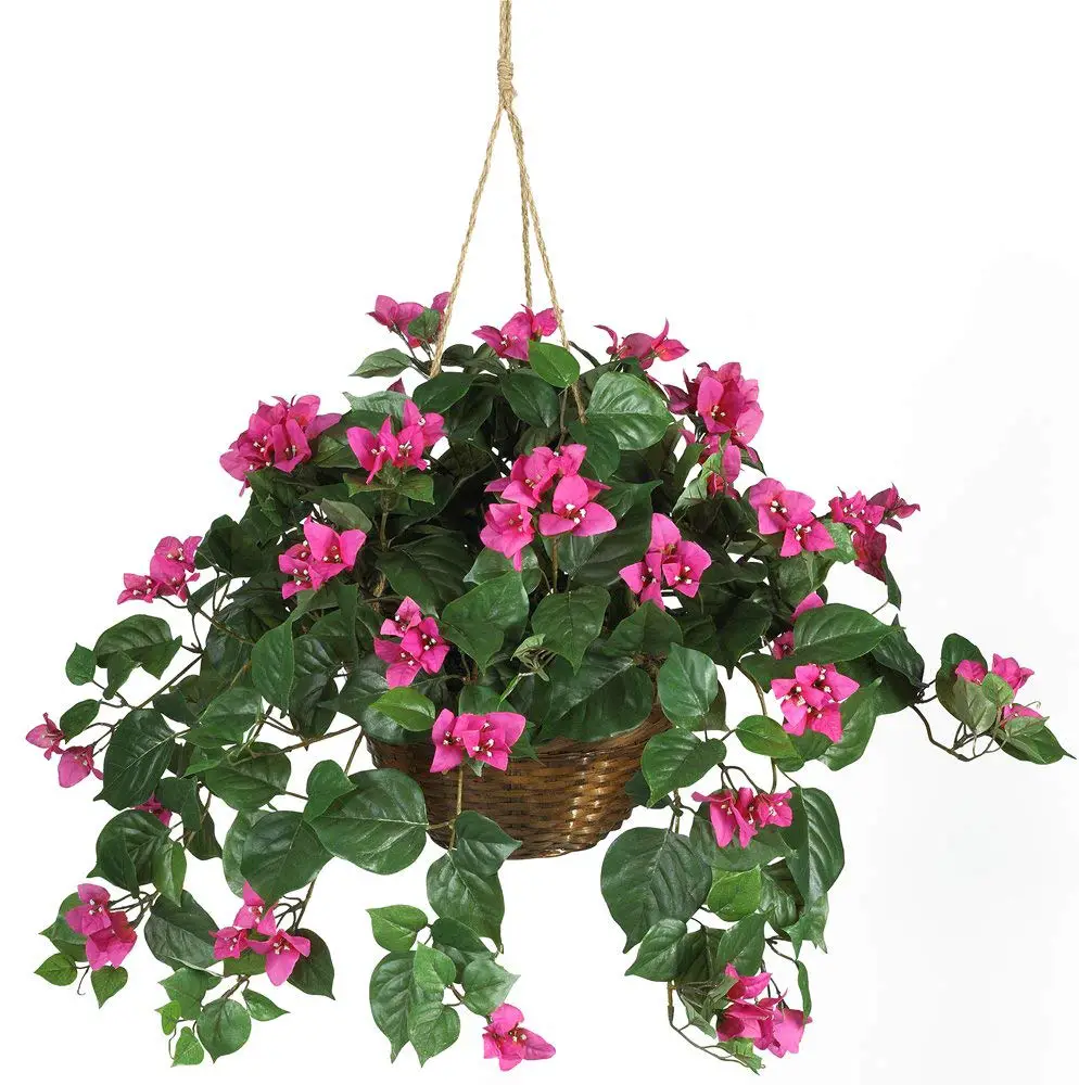 fake bougainvillea