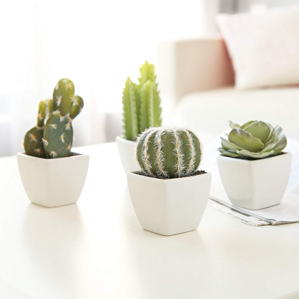 faux cactus plants