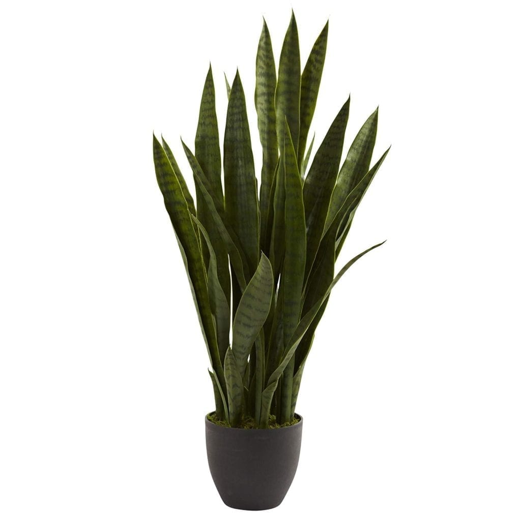 Fake sanseviera plant