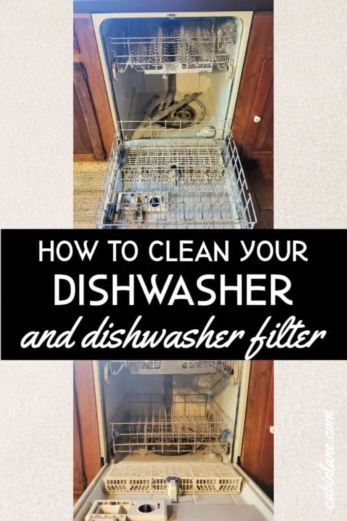 Dishwashers can get gross, fast! If you've never cleaned yours before, here's how to clean your dishwasher and dishwasher filter.