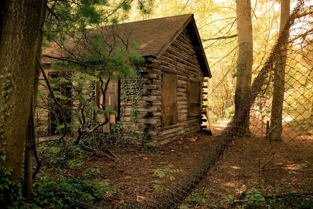 log cabin living