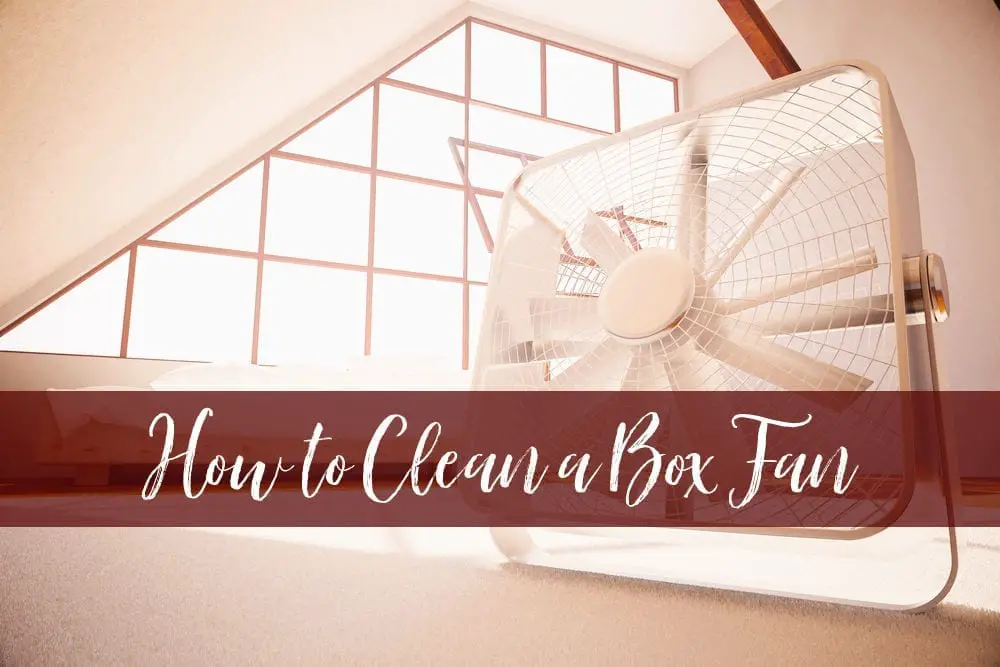 Fans build up dust very quickly and you shouldn't be breathing it in. Here's how to clean a box fan - two easy methods you can choose from.