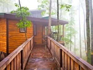 treehouse cabin in the woods