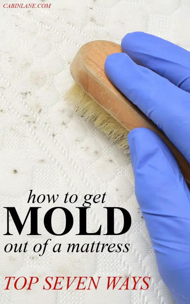 Dealing with moldy spots in a mattress you're not ready to part with? Here's how to get mold out of a mattress - the top seven ways.