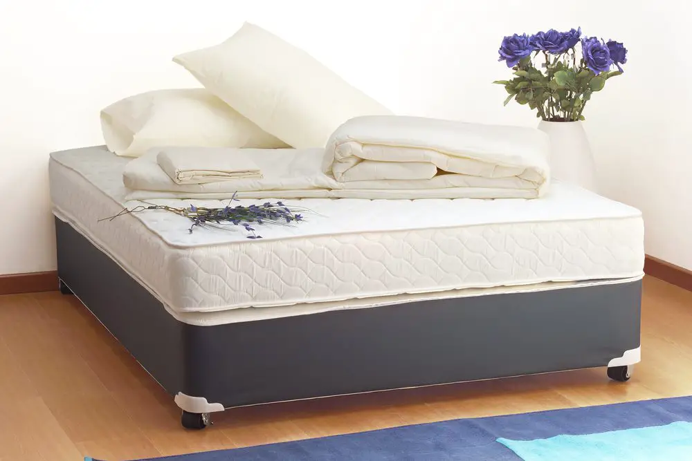 get mold out of air mattress