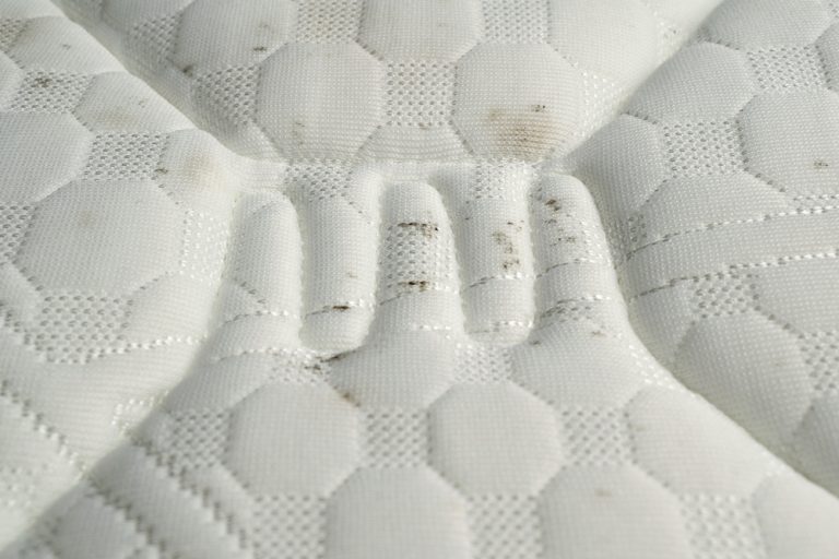 white mold on air mattress