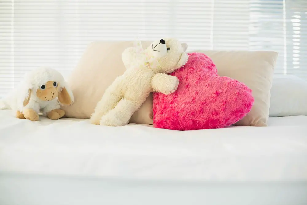 Stuffed animals accumulate so quickly. So, what do you do when you want to get rid of them? Here's where to donate used stuffed animals.