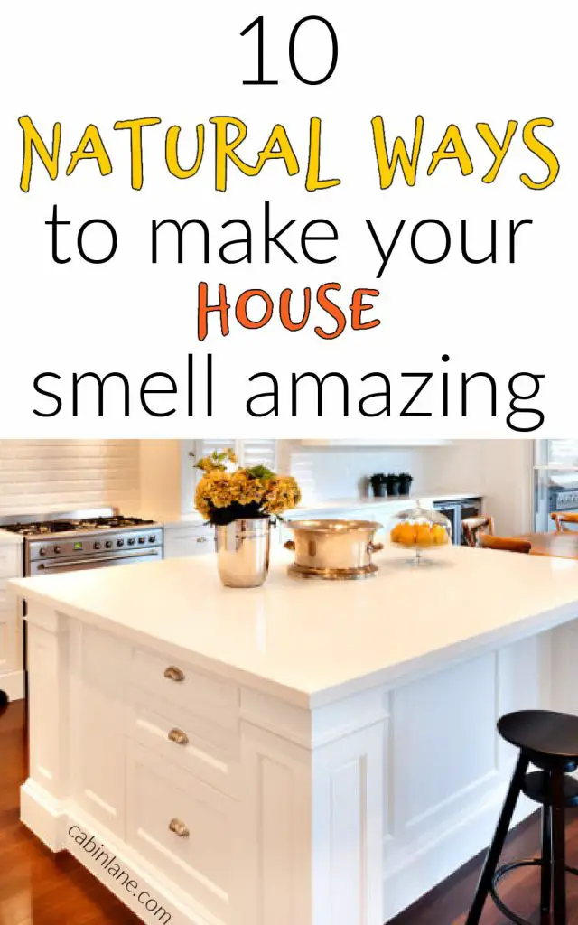 Looking for natural ways to make your house smell amazing? You won't believe how well these ten ideas work to deodorize and scent your home naturally.
