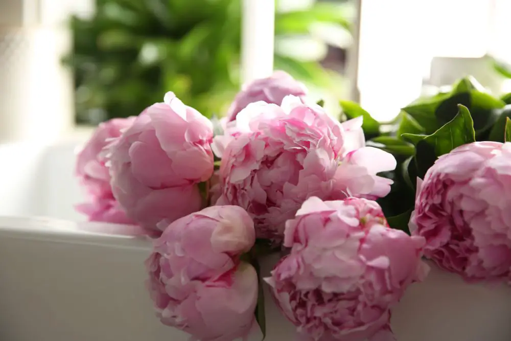Use flowers to make your house smell good.
