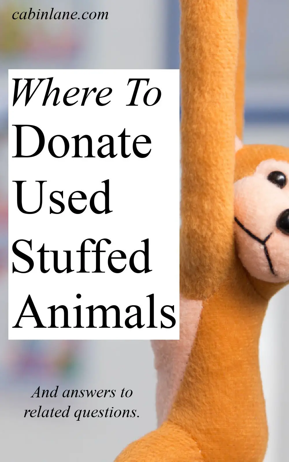 Where to Donate Used Stuffed Animals - Cabin Lane
