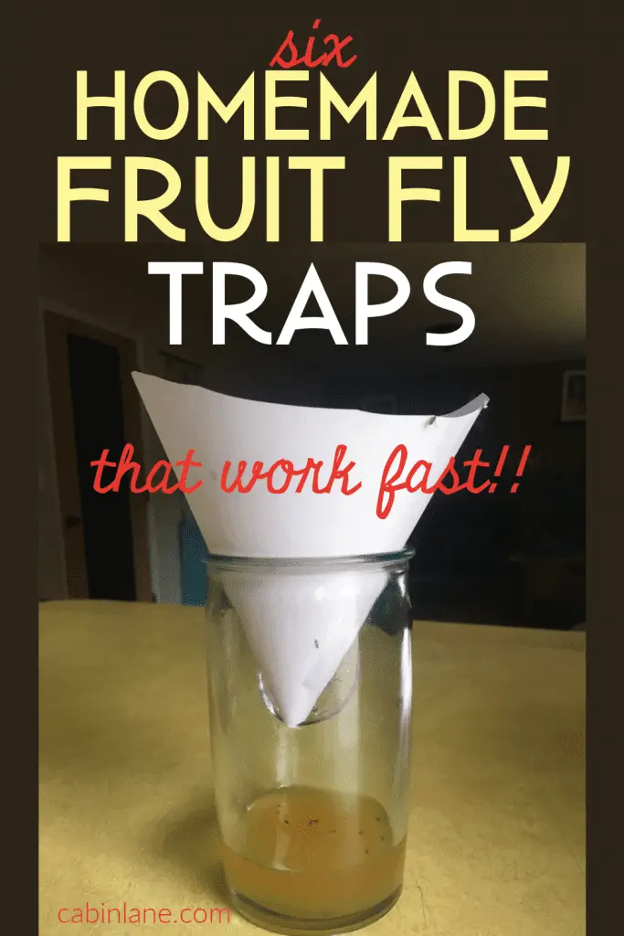 If you're sick of having flies in your face every time you grab a piece of fruit, make one of these homemade fruit fly traps. They work fast.