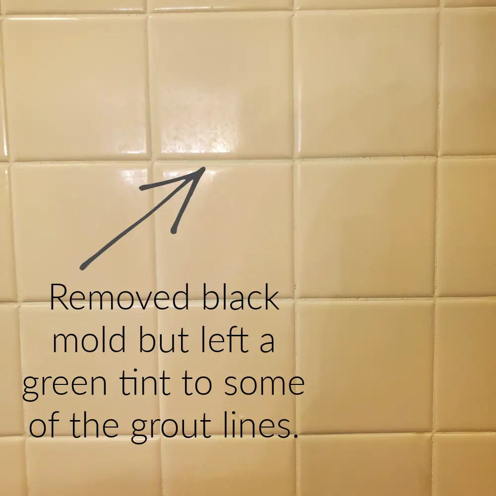 Removing black mold from shower grout with cling toilet gel. If you used color toilet bowl cleaner it can stain your grout.
