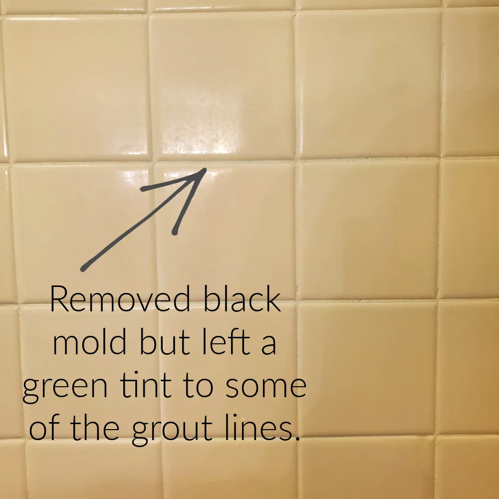 how-to-get-black-mold-out-of-shower-grout-cabin-lane