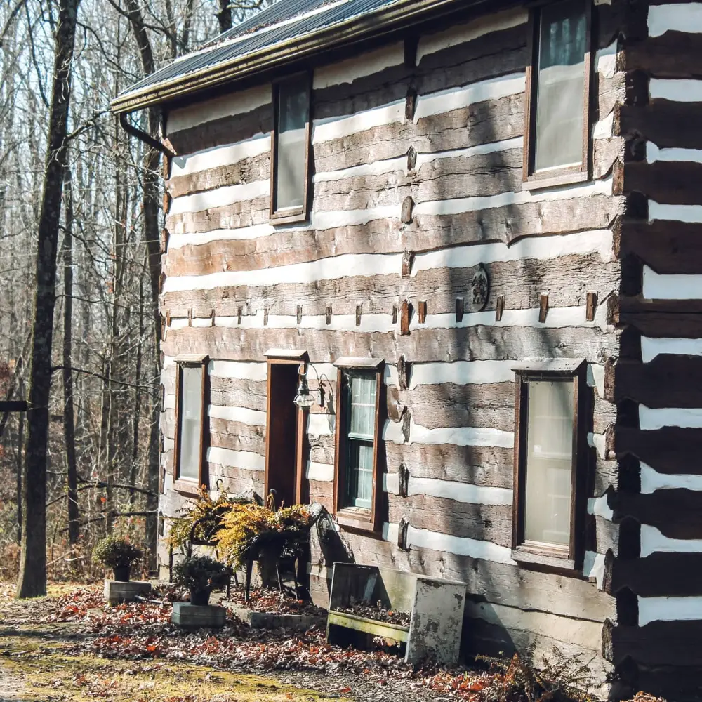 While you can live in a log cabin, there are factors to consider. Here's what you need to know (and what I overlooked.)