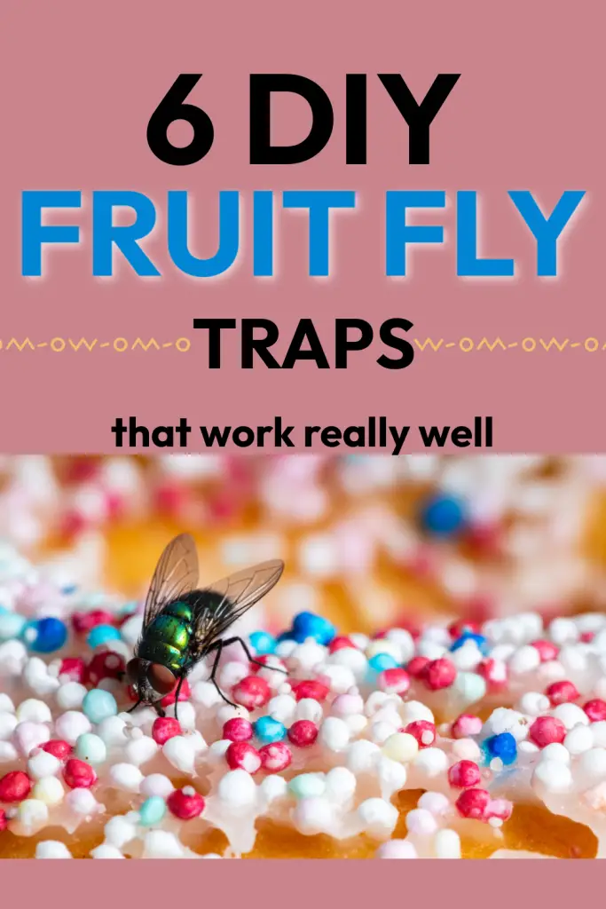 If you're sick of having flies in your face every time you grab a piece of fruit, make one of these DIY fly traps. They work fast.