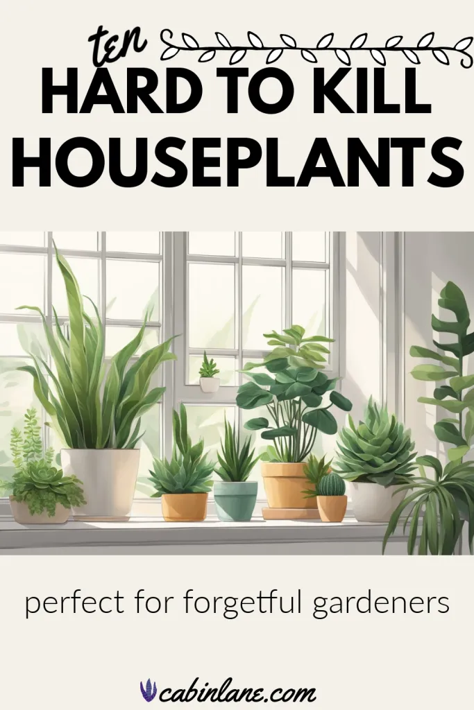 These hard to kill houseplants can withstand missed watering sessions, low light conditions, and neglect — perfect for those lacking a green thumb.