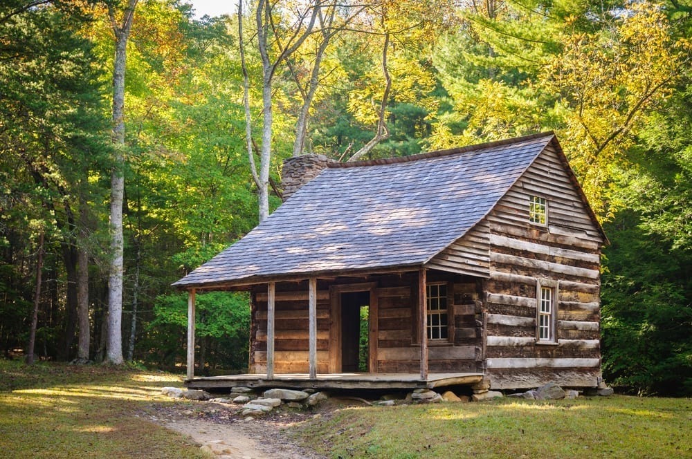 A small log cabin sitting in the woods