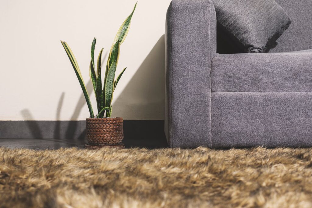 Fake spider plant sitting on floor next to gray couch