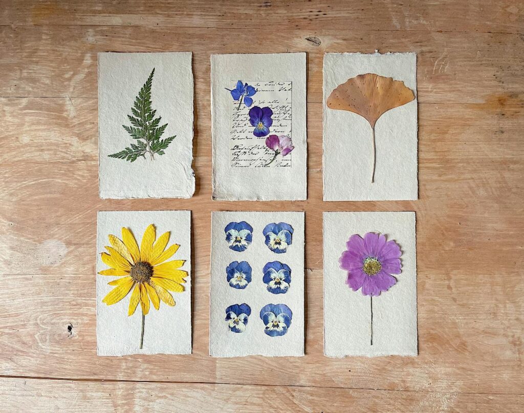 Pressed flower art