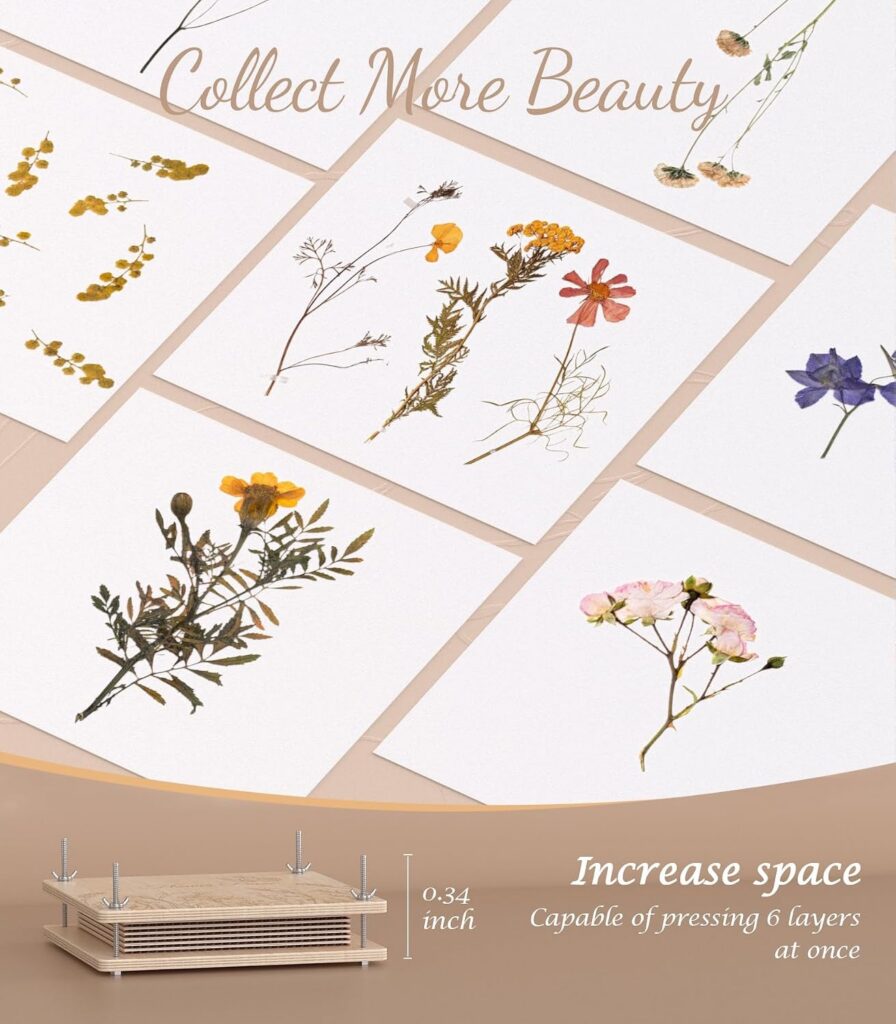 Pressed flowers and wooden flower press